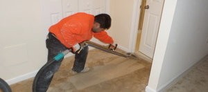 Mold Cleanup On Carpet After A Flood